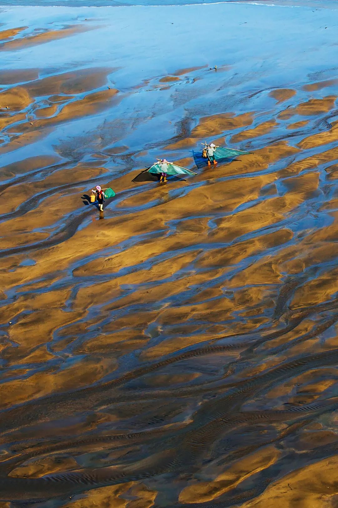 Image related to How China's Yellow Croaker Capital Holds the Key to the World's New Energy Future