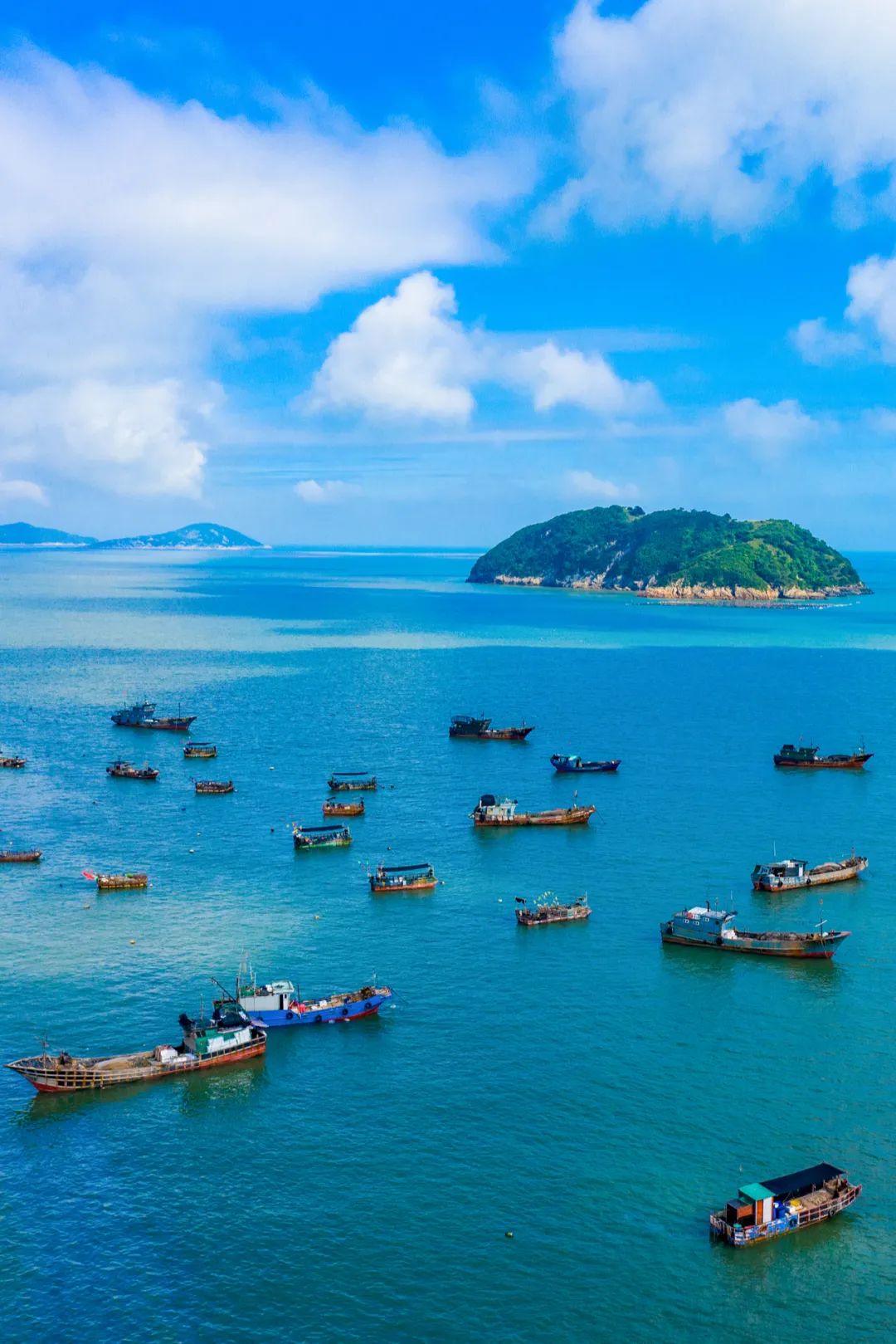 Image related to How China's Yellow Croaker Capital Holds the Key to the World's New Energy Future