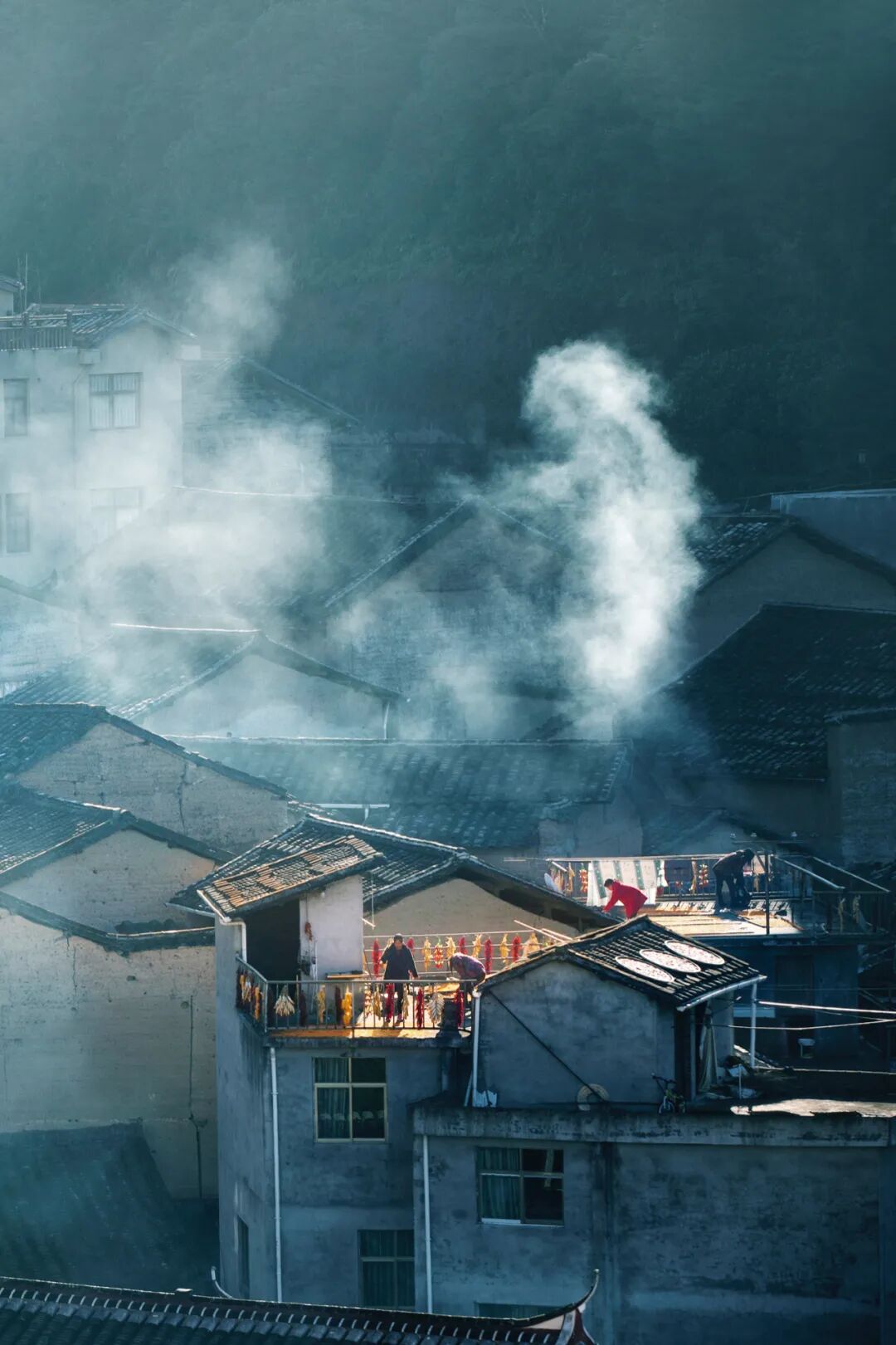 Image related to How China's Yellow Croaker Capital Holds the Key to the World's New Energy Future