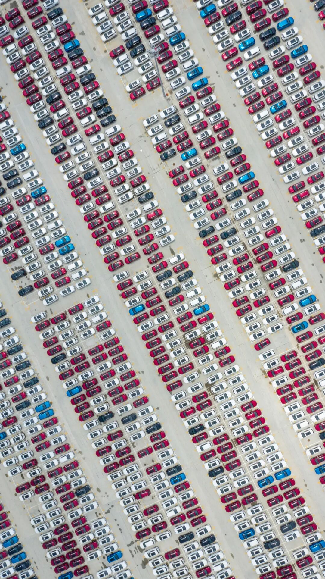 Image related to How China's Yellow Croaker Capital Holds the Key to the World's New Energy Future