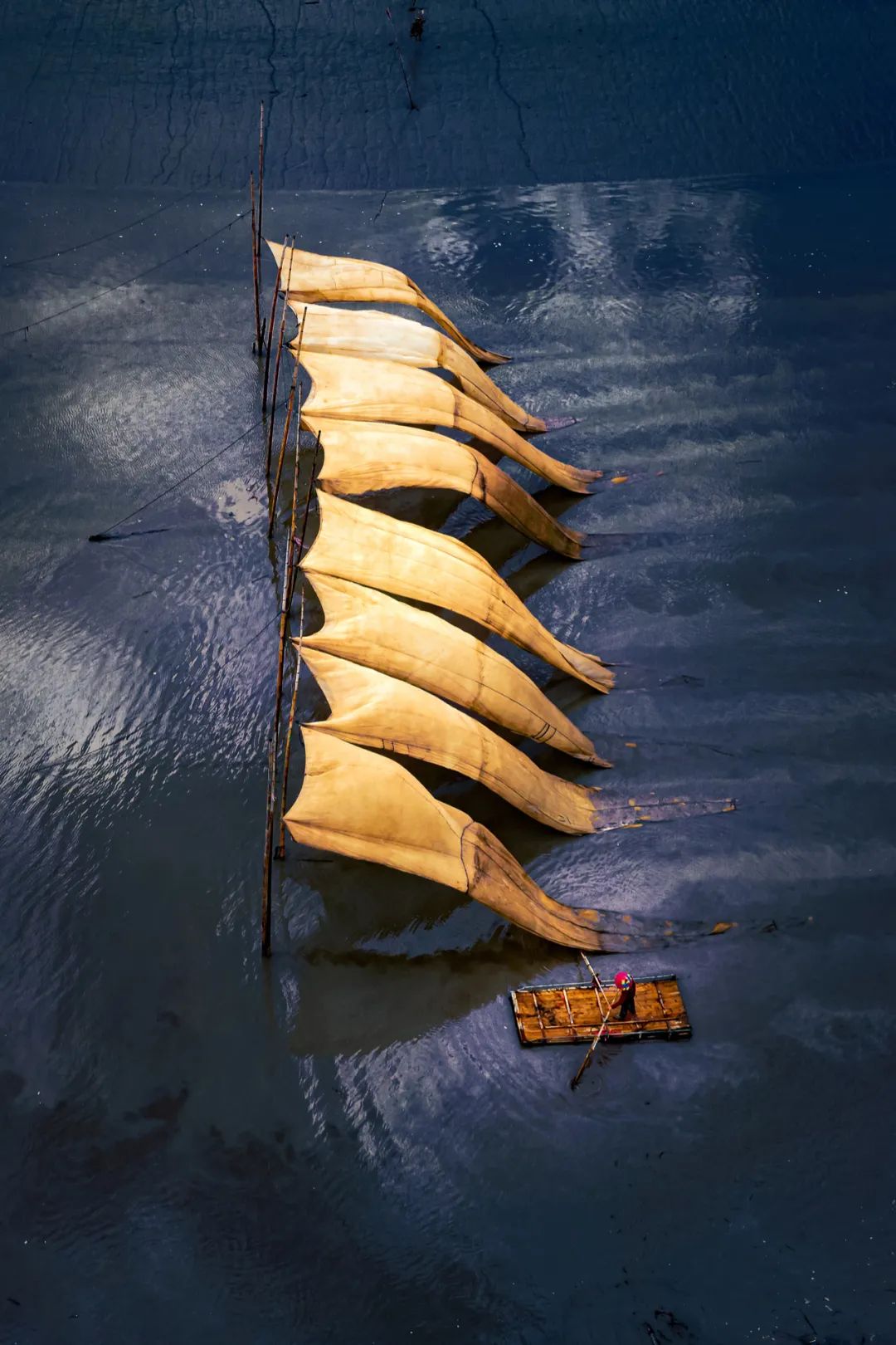 Image related to How China's Yellow Croaker Capital Holds the Key to the World's New Energy Future