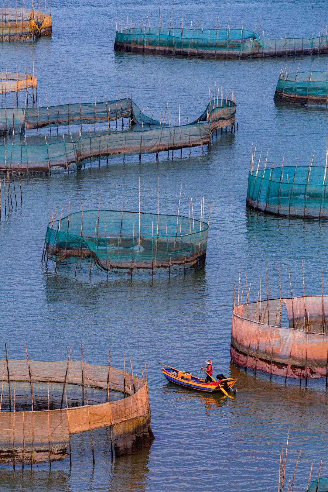 Image related to How China's Yellow Croaker Capital Holds the Key to the World's New Energy Future