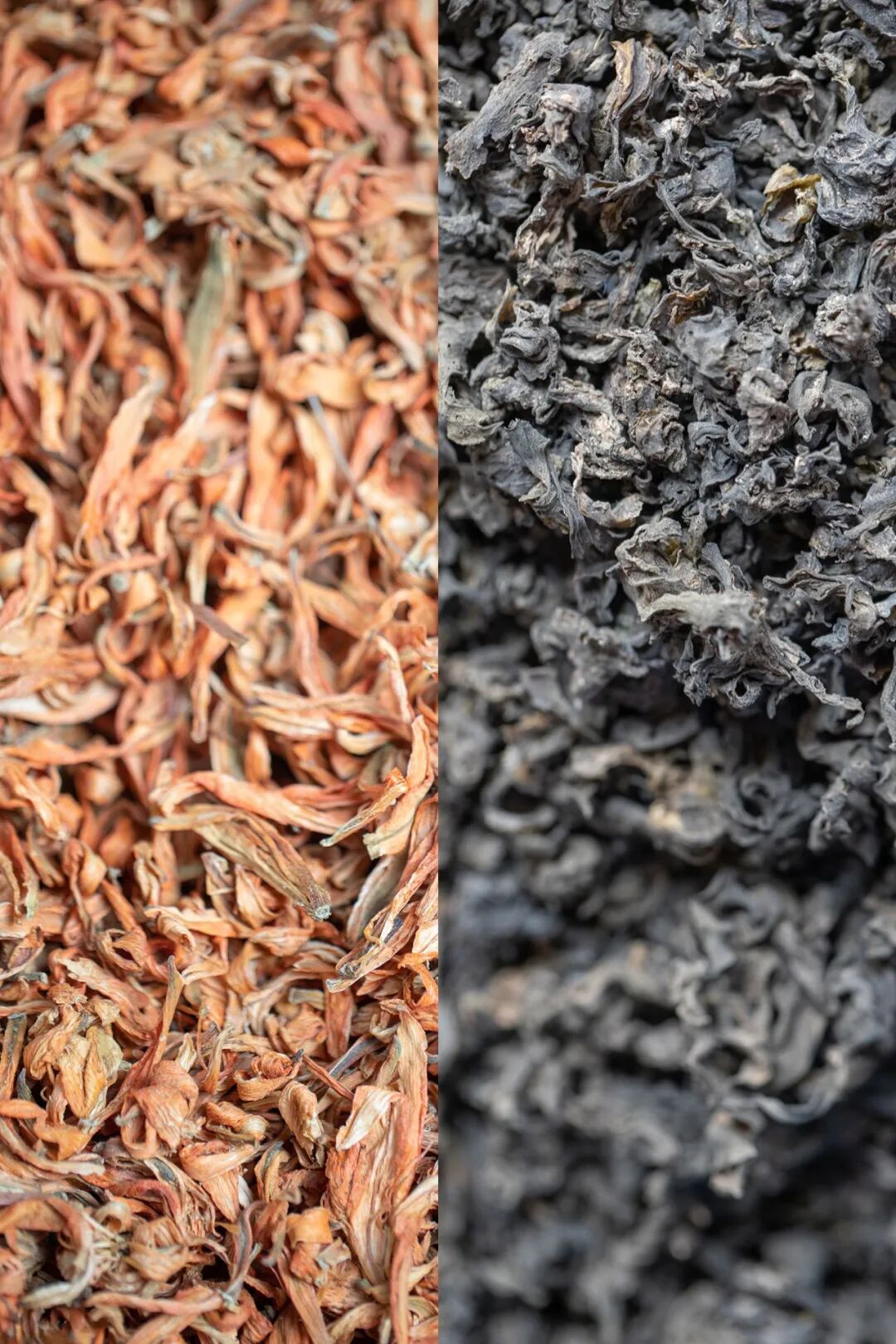 Image related to Gansu Noodles Go Green!