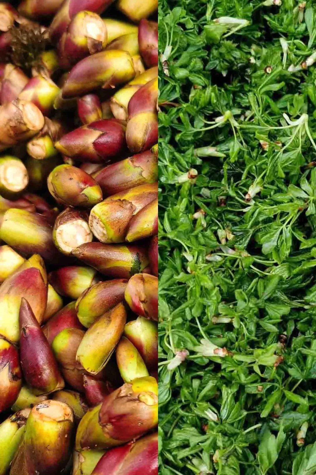 Image related to Gansu Noodles Go Green!