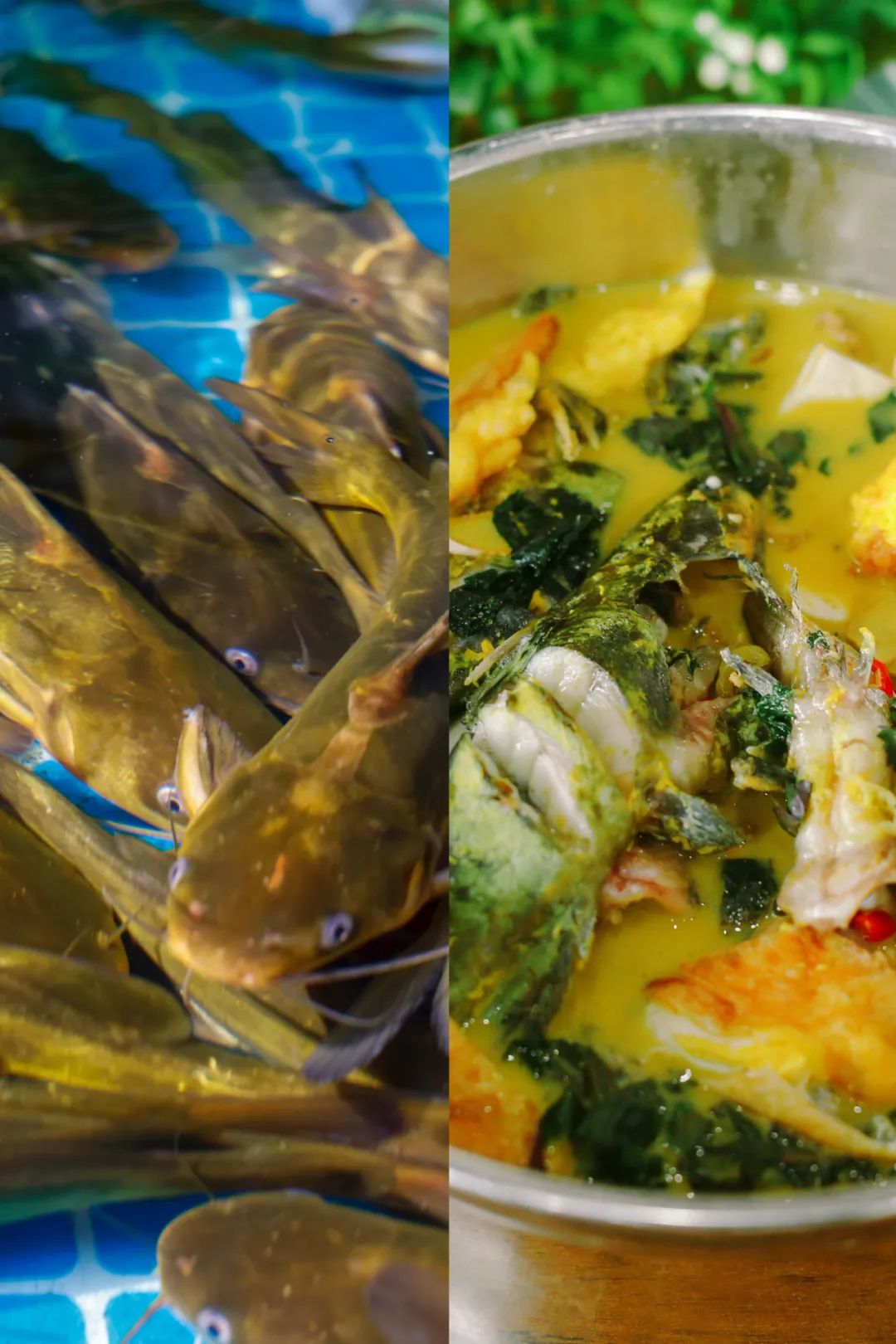 Image related to China's Most Inventive Fish Cuisine Province: How Much Fiery Delicacy Lies Within?