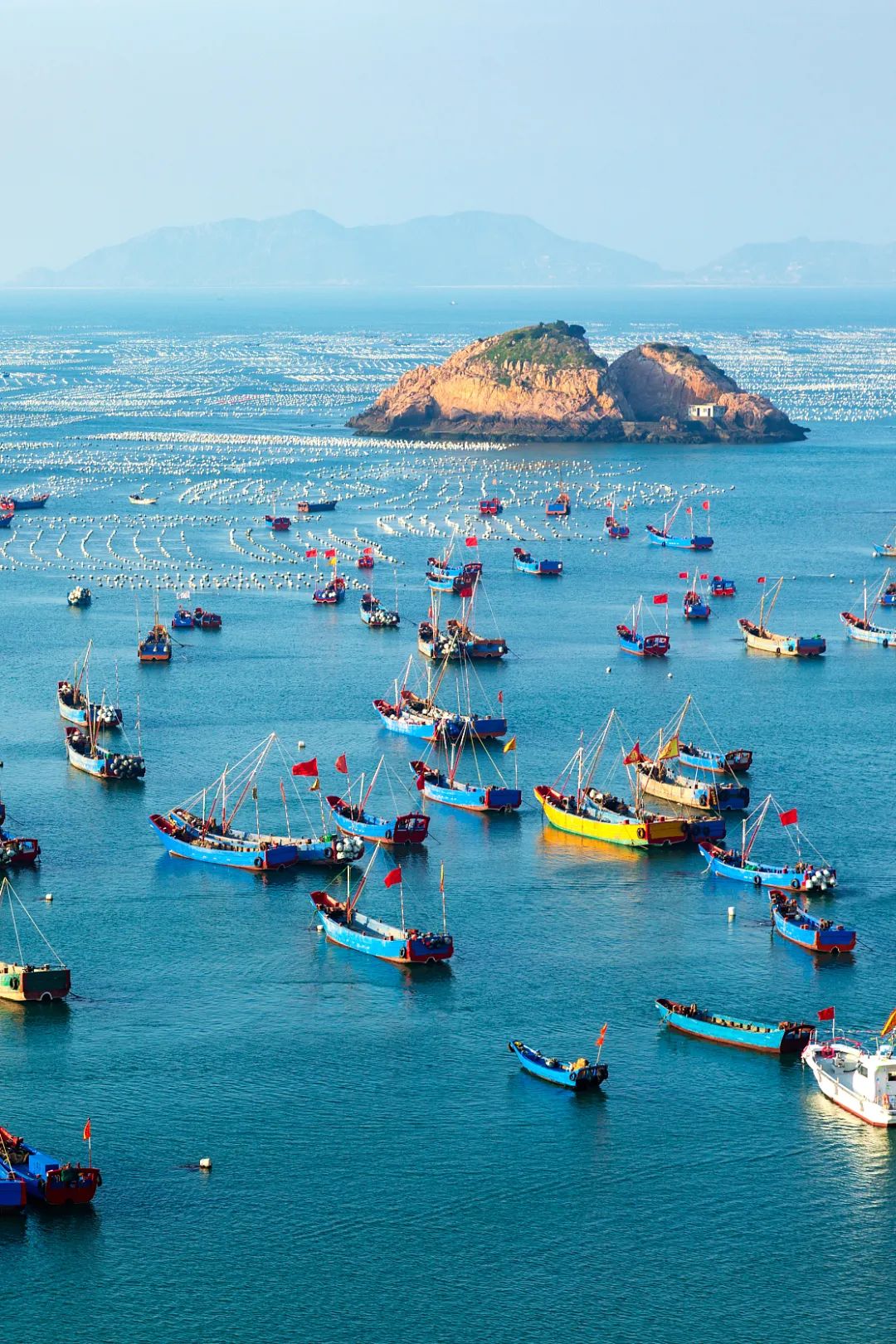 Image related to The Hierarchy of Chinese Seafood Consumption: How Did This Province Rise to the Top?