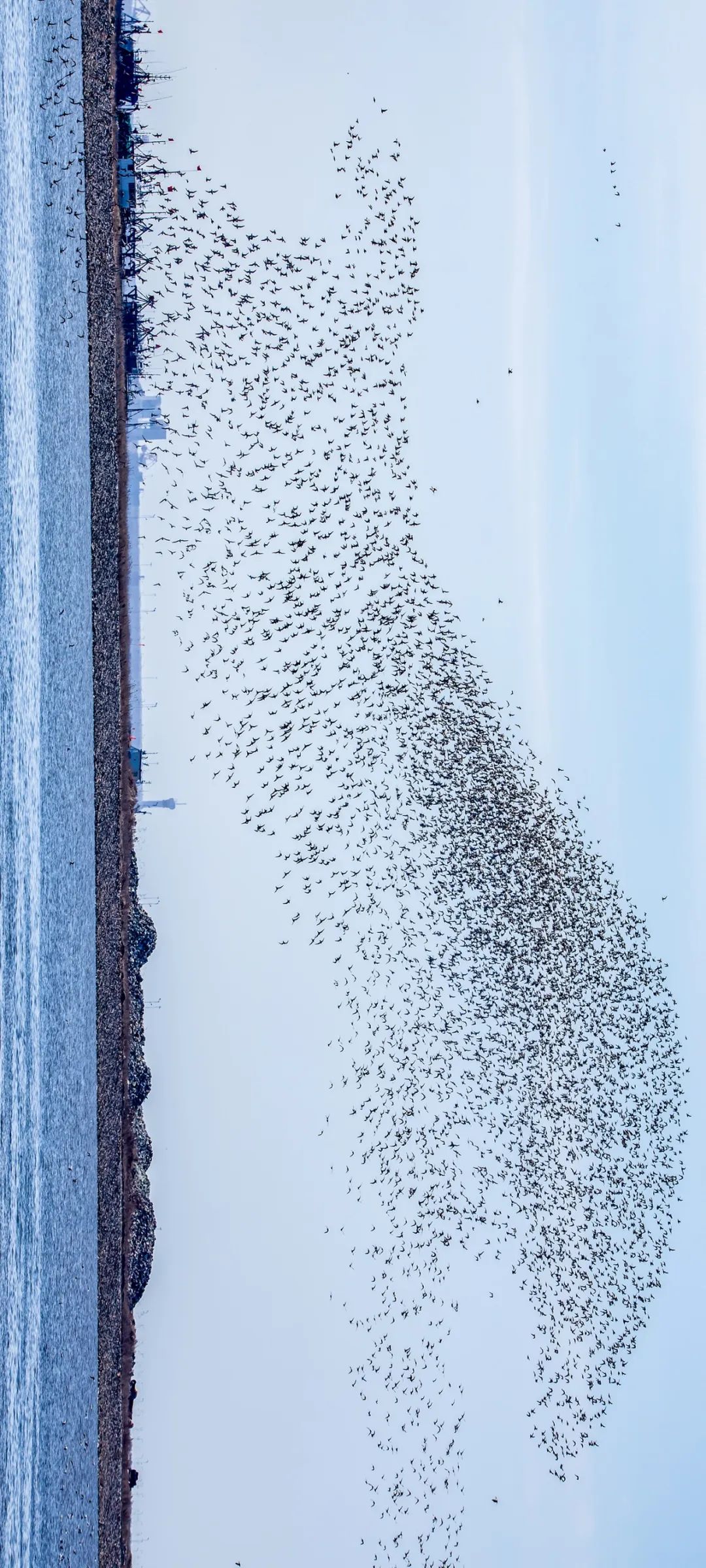 Image related to China's Largest Border City: A Hidden Foodie Paradise?