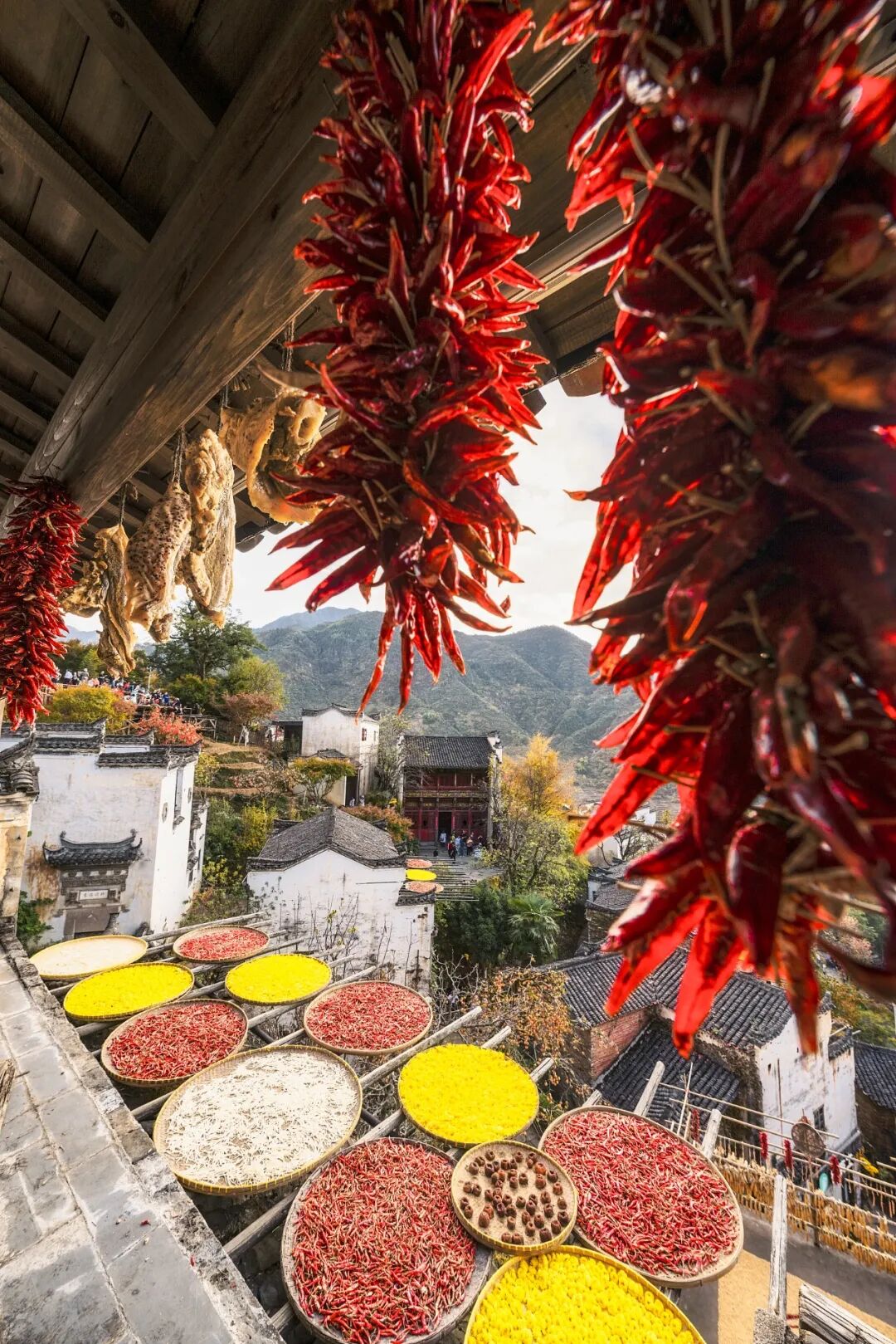 Image related to The Most Overlooked Province Hides the "Carb King" of Southern China!