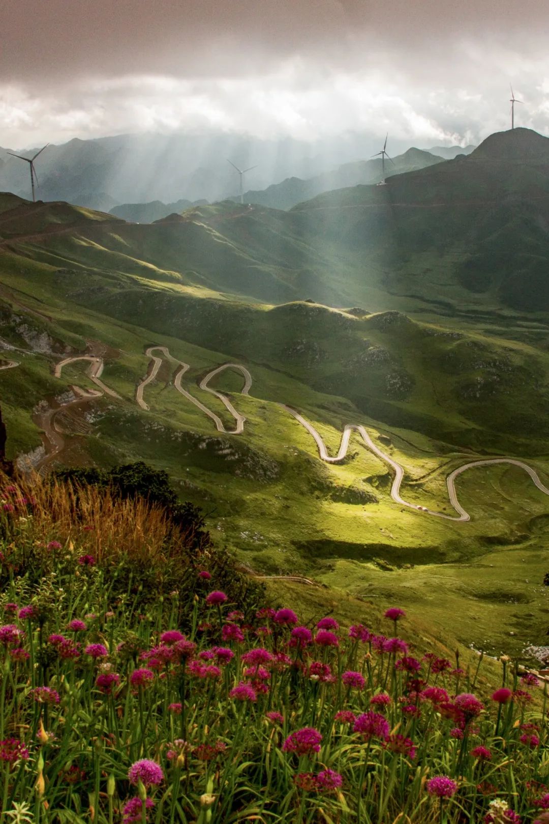 Image related to Why Is Guizhou China's Top Summer Retreat?