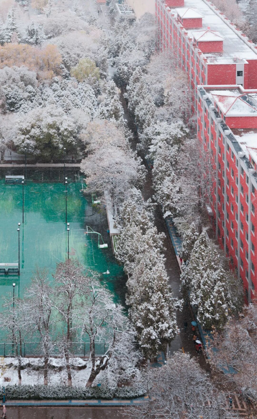 Image related to Why Is 114-Year-Old Lanzhou University Considered the Most Chivalrous University in China?
