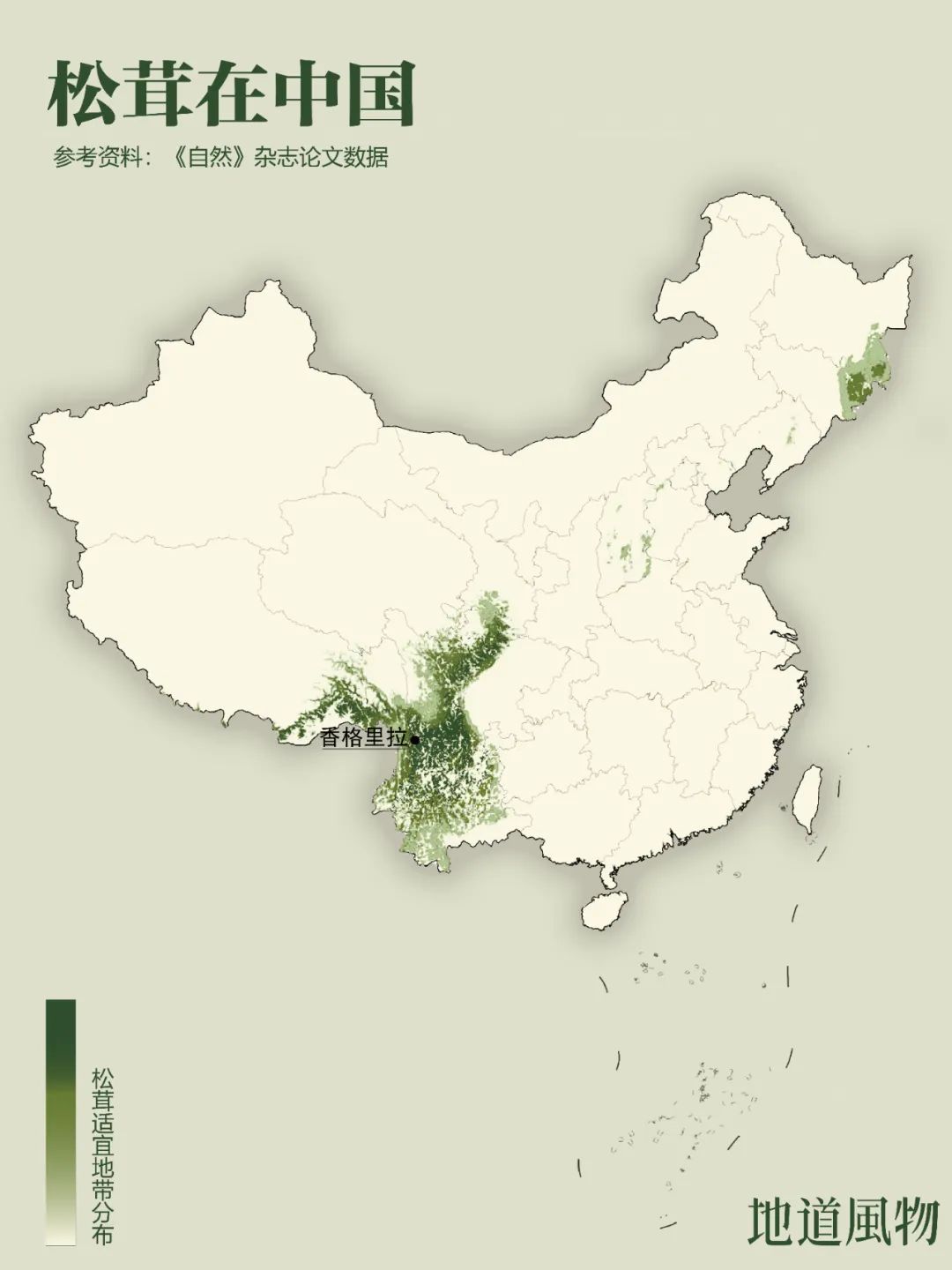 Image related to Why Does Shangri-La Grow the Best Matsutake Mushrooms?