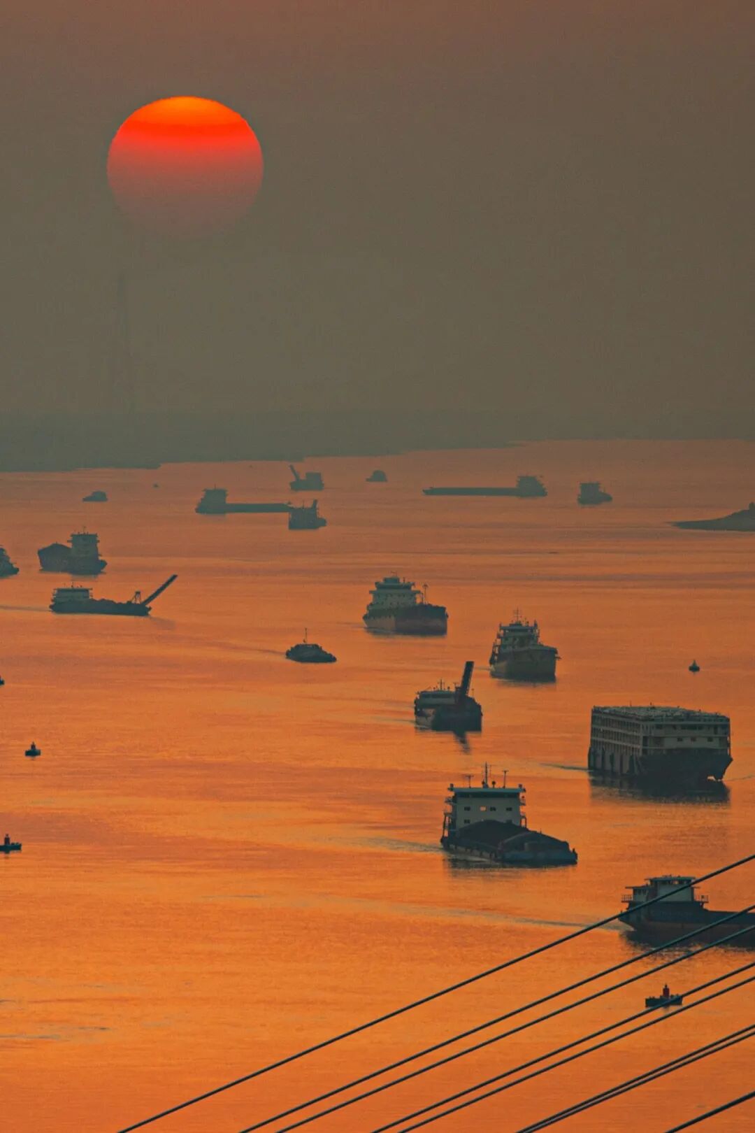 Image related to China's Top Freshwater Delicacy: A Landlocked City Outshines the Ocean in Freshness