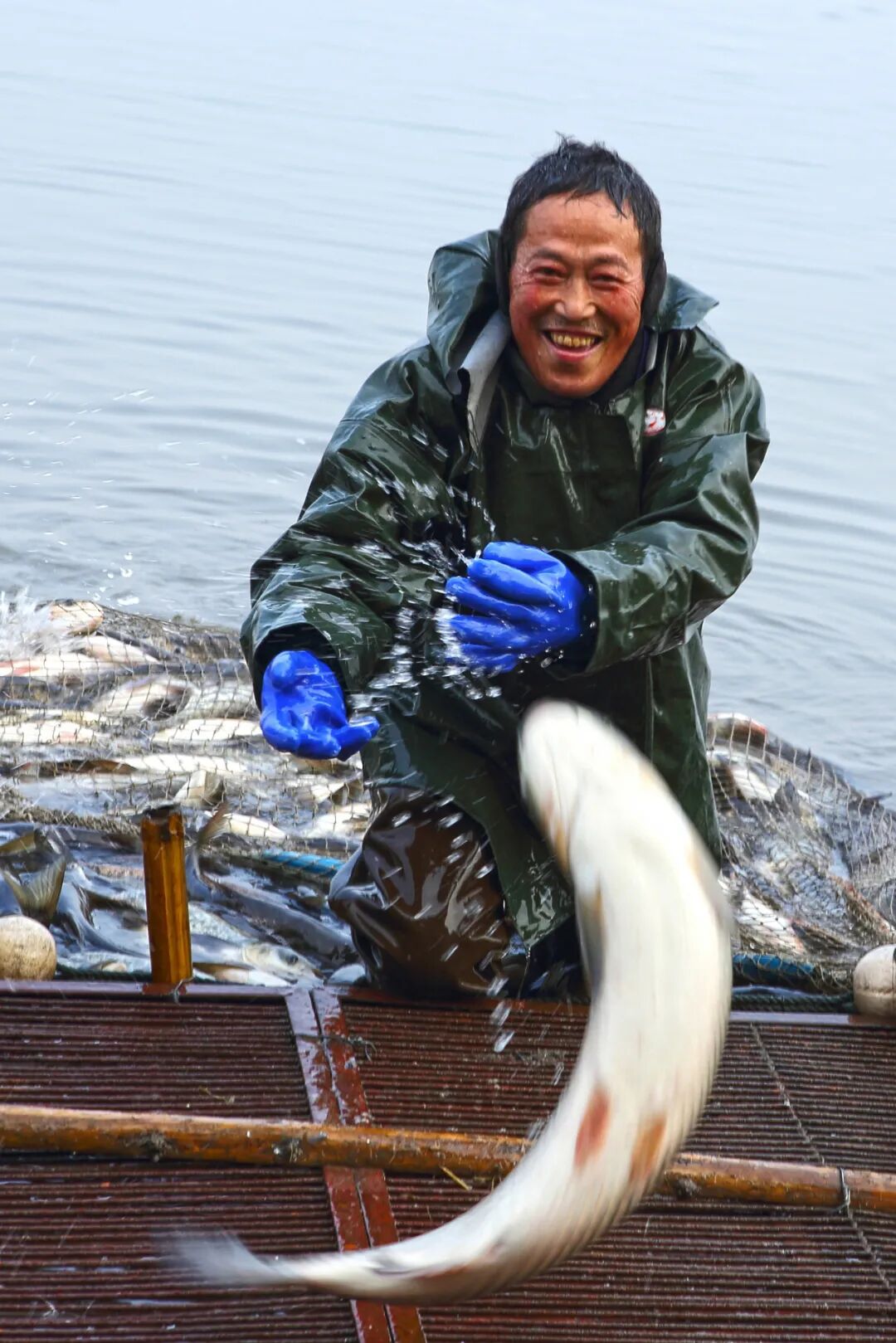 Image related to China's Top Freshwater Delicacy: A Landlocked City Outshines the Ocean in Freshness
