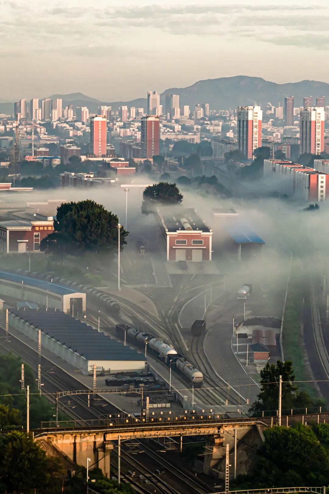 Image related to China's BBQ Capital Isn't in Xinjiang or Shandong!