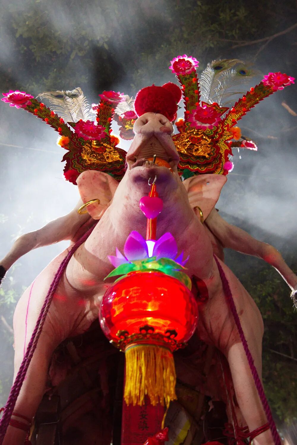 Image related to A Culinary Map of China: Where People Eat Animal Heads