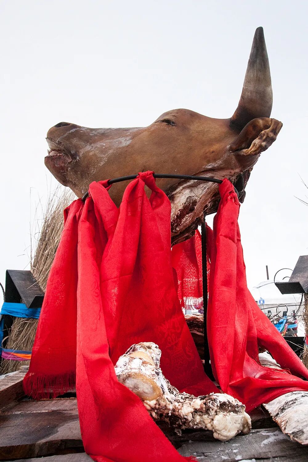 Image related to A Culinary Map of China: Where People Eat Animal Heads