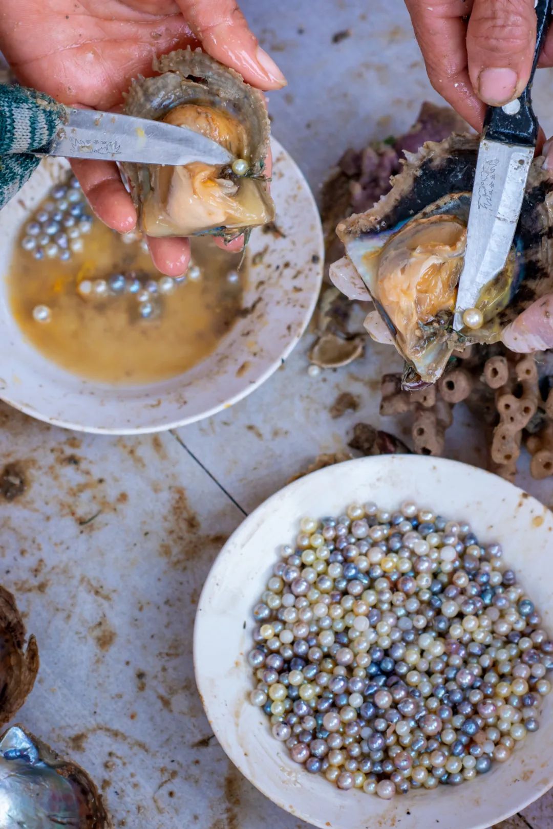 Image related to Guangxi's Seafood Capital: A Stunning Gem That Captivates Half of China