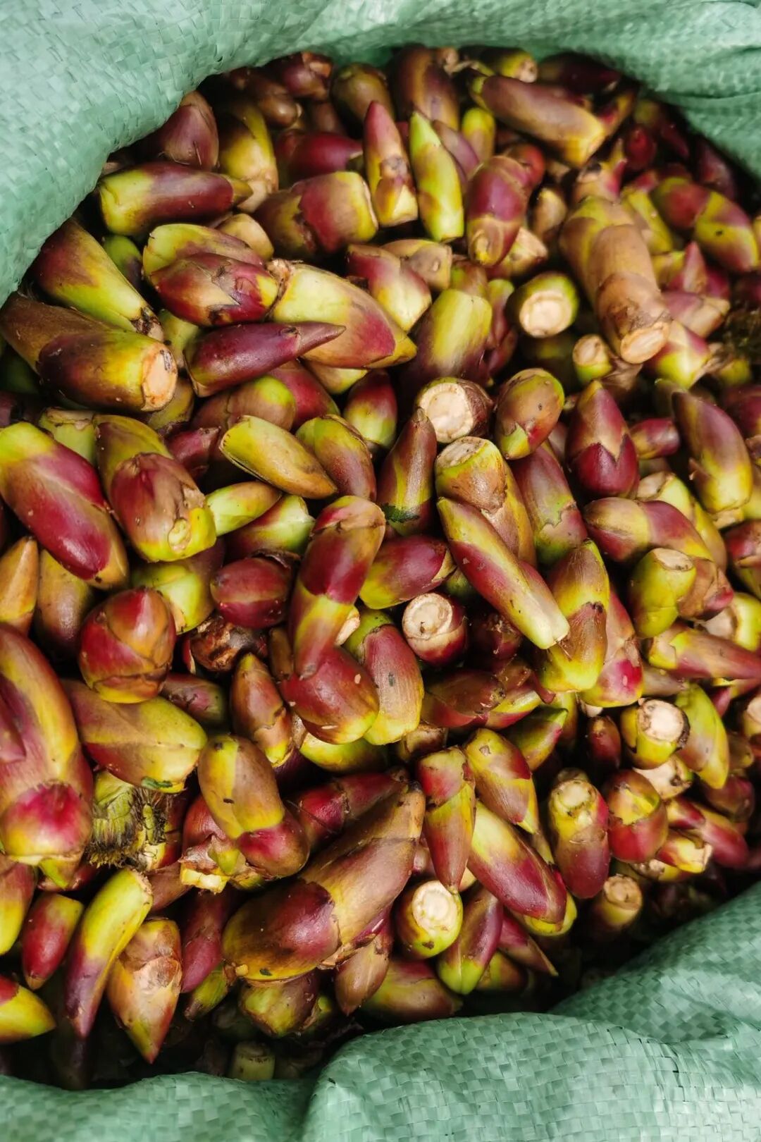 Image related to Carbs and Meat Galore: How Gansu Locals Spice Up Their New Year Feast