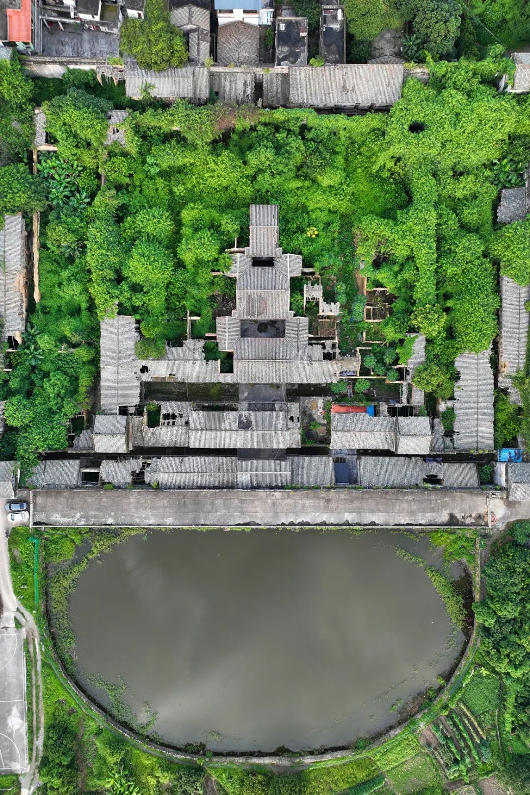 Image related to Why Guangdong Feels Like Three Provinces? The Answer Lies in This City!
