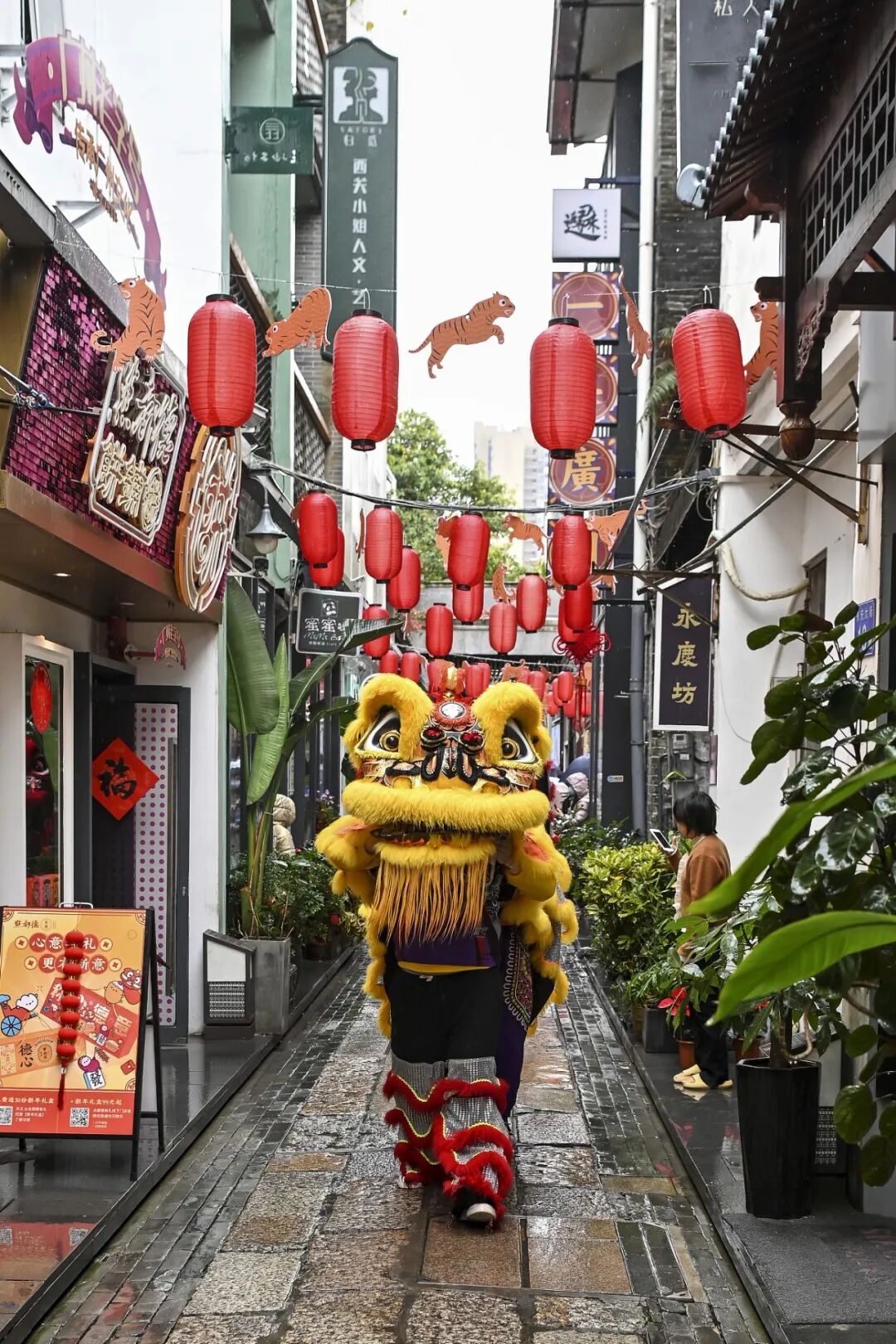 Image related to Why Guangdong Feels Like Three Provinces? The Answer Lies in This City!