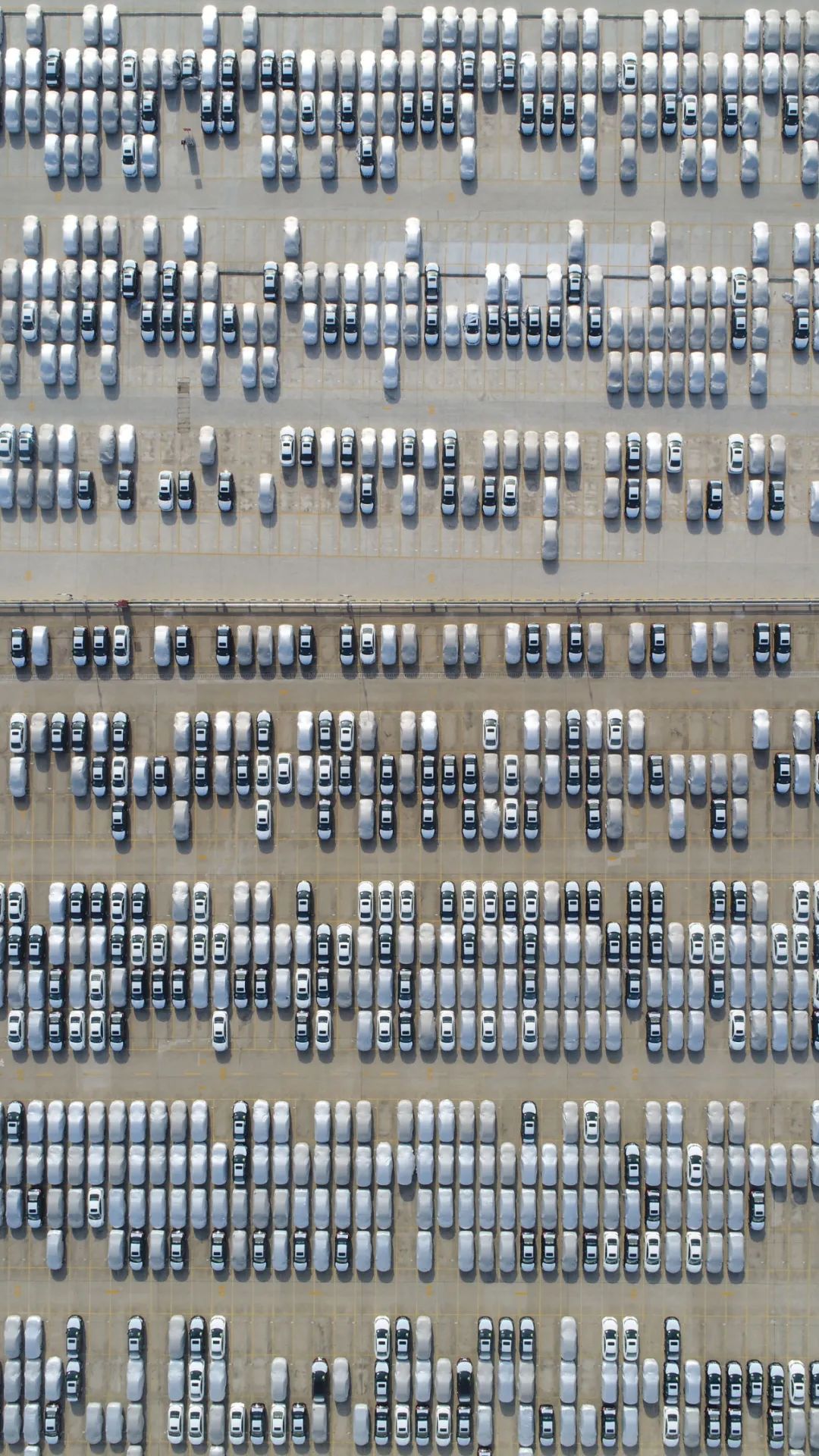 Image related to Joy of Life Season 2's Hit Run Puts Spotlight on Hubei's Second Largest City