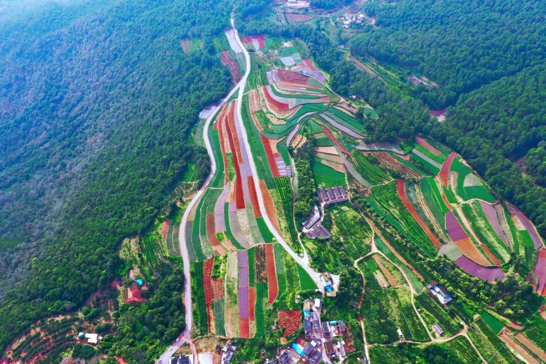 Image related to China's "Sunshine City" is Actually in Yunnan?