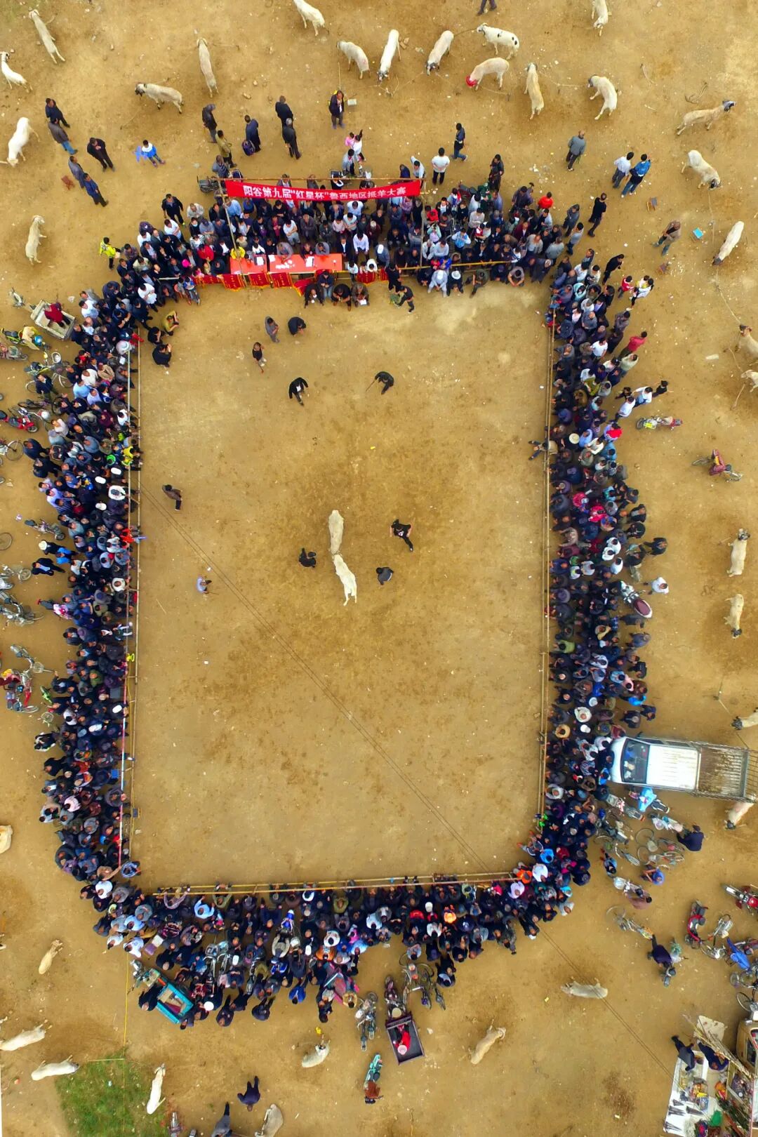 Image related to Even More Hospitable Than Shandong People Are Shandong Sheep!