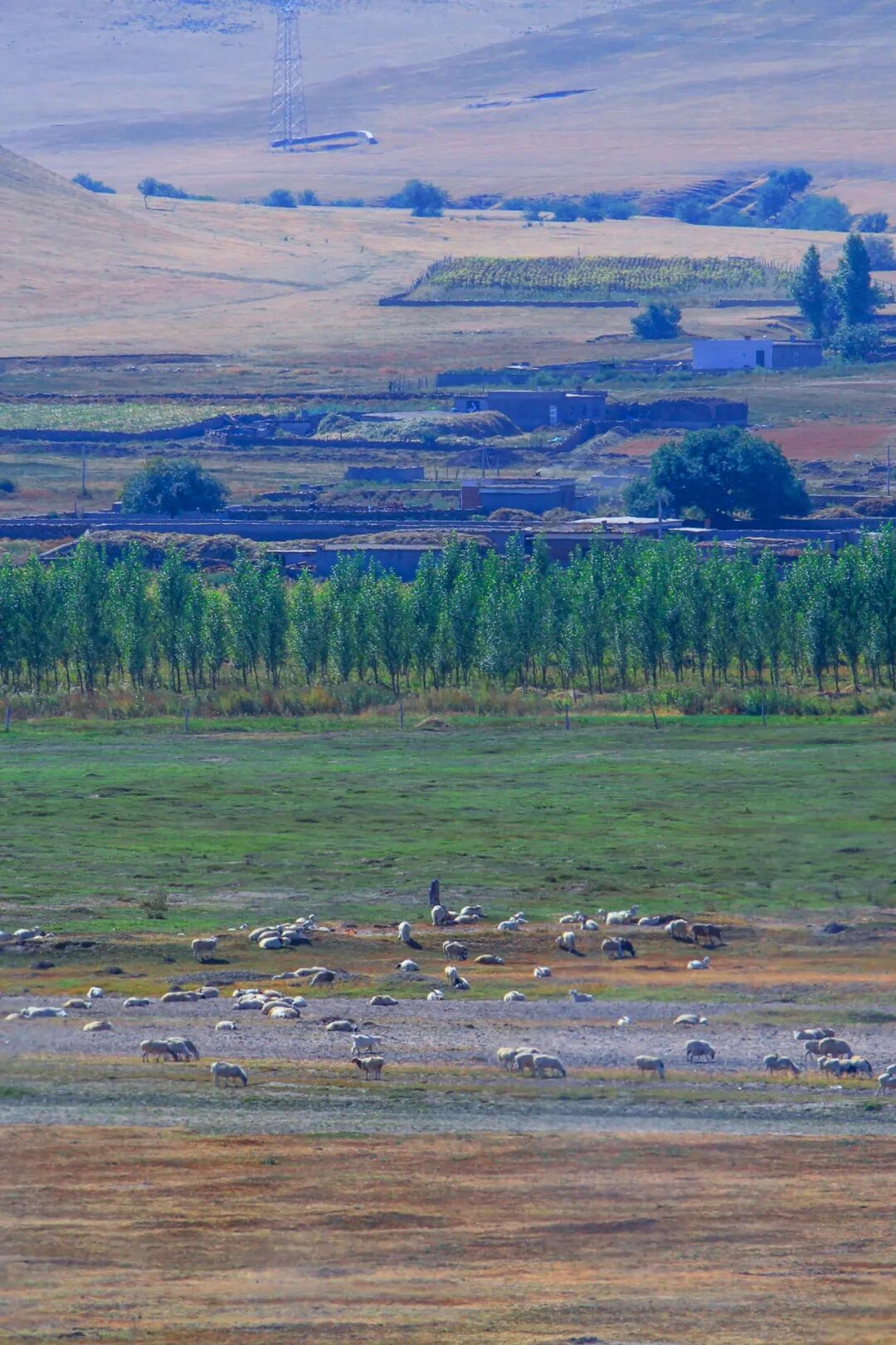 Image related to Tongliao: The City in Inner Mongolia That Best Captures the Essence of China's Northeast