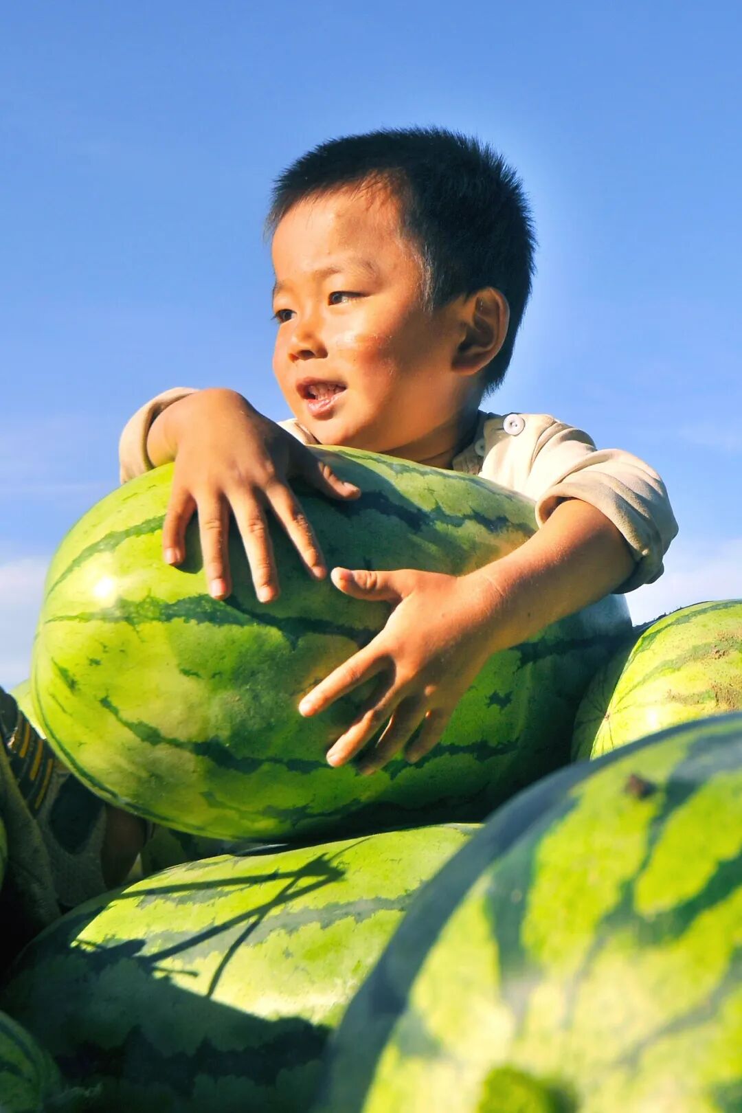 Image related to China's Ultimate Summer Fruit: 16 Billion Consumed Annually!