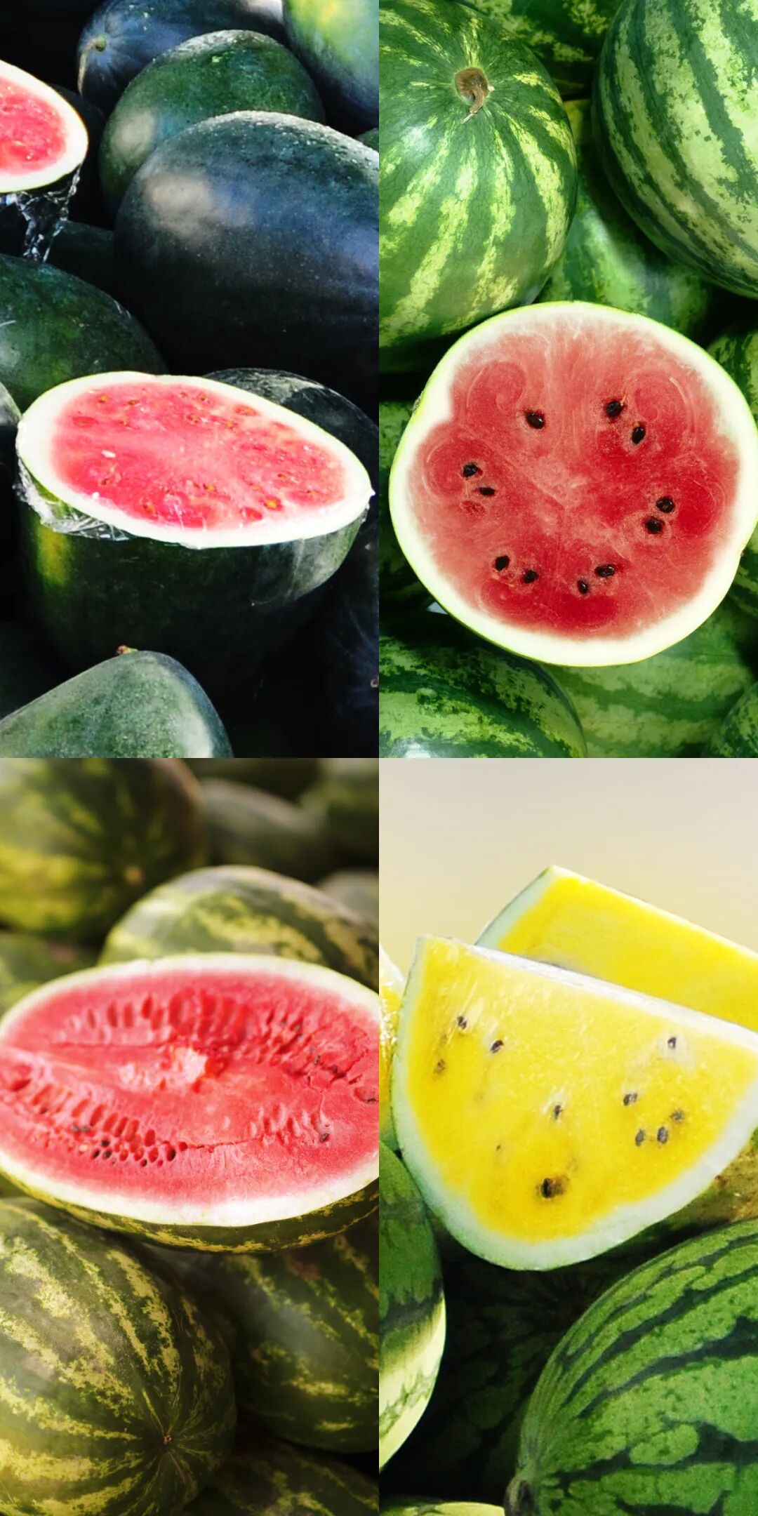 Image related to China's Ultimate Summer Fruit: 16 Billion Consumed Annually!