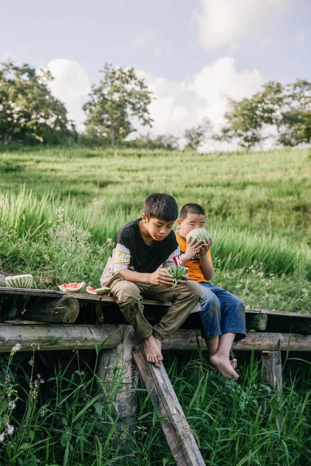 Image related to China's Ultimate Summer Fruit: 16 Billion Consumed Annually!