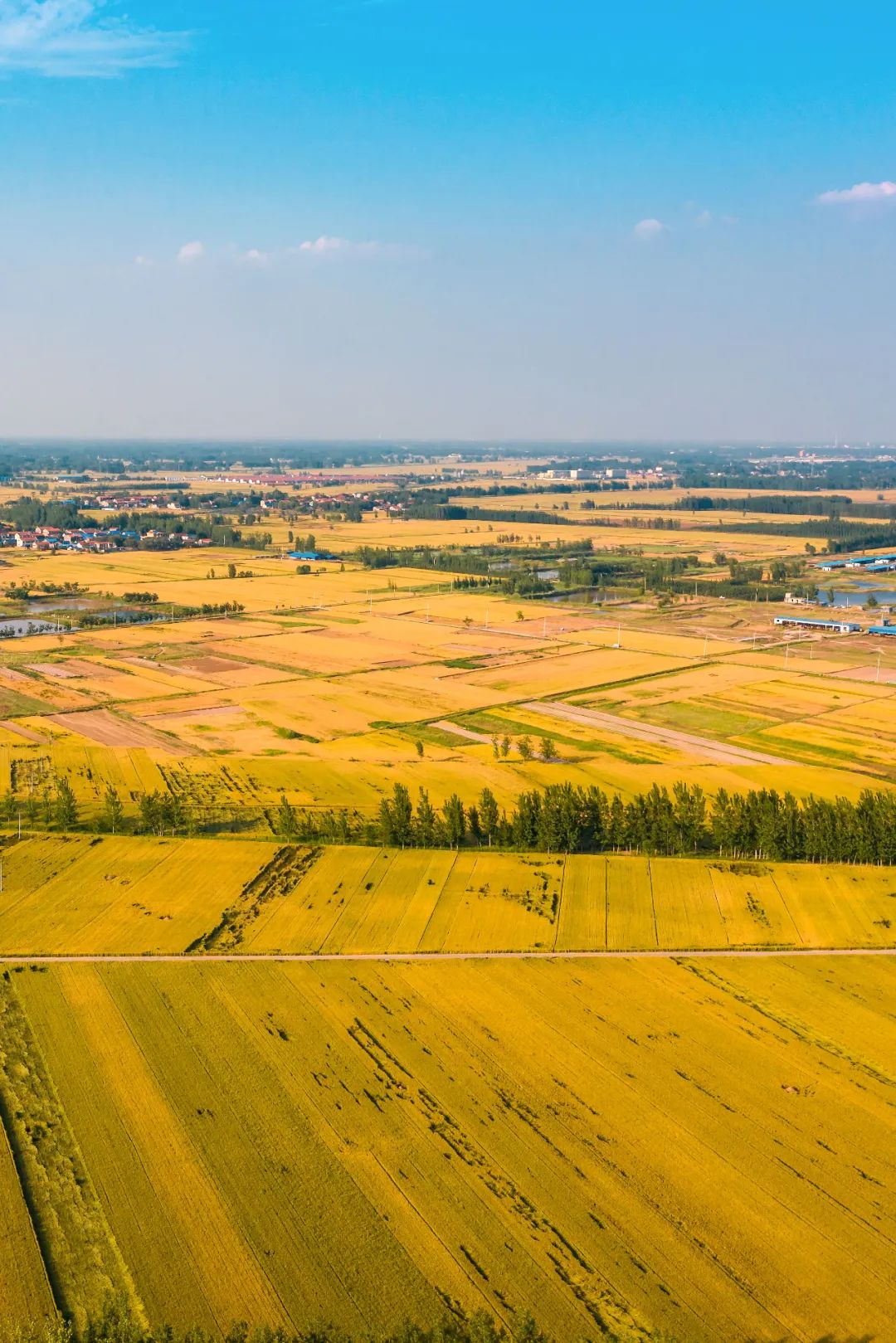 Image related to How Did the Most Henan-like City in Shandong Become the "Center of the Universe"?