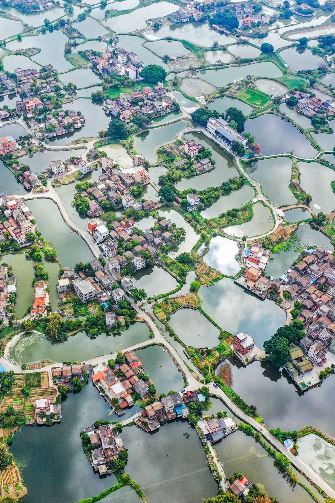 Image related to Jinghai in The Knockout Doesn't Exist, But Jiangmen in Reality Wins All Hearts!