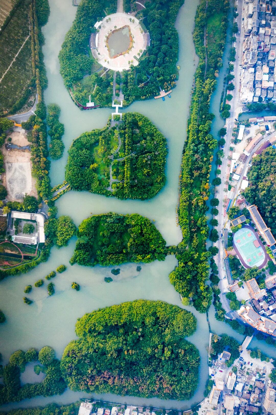 Image related to Jinghai in The Knockout Doesn't Exist, But Jiangmen in Reality Wins All Hearts!