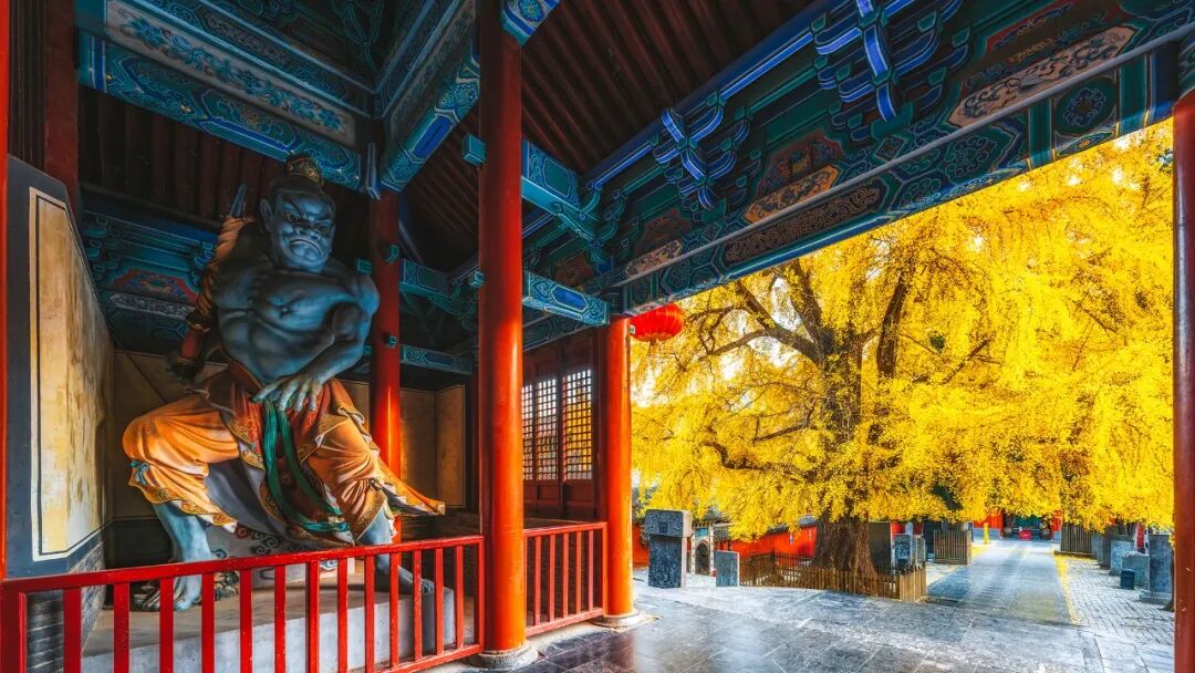 Image related to Where Exactly Is the Most "Chinese" China?