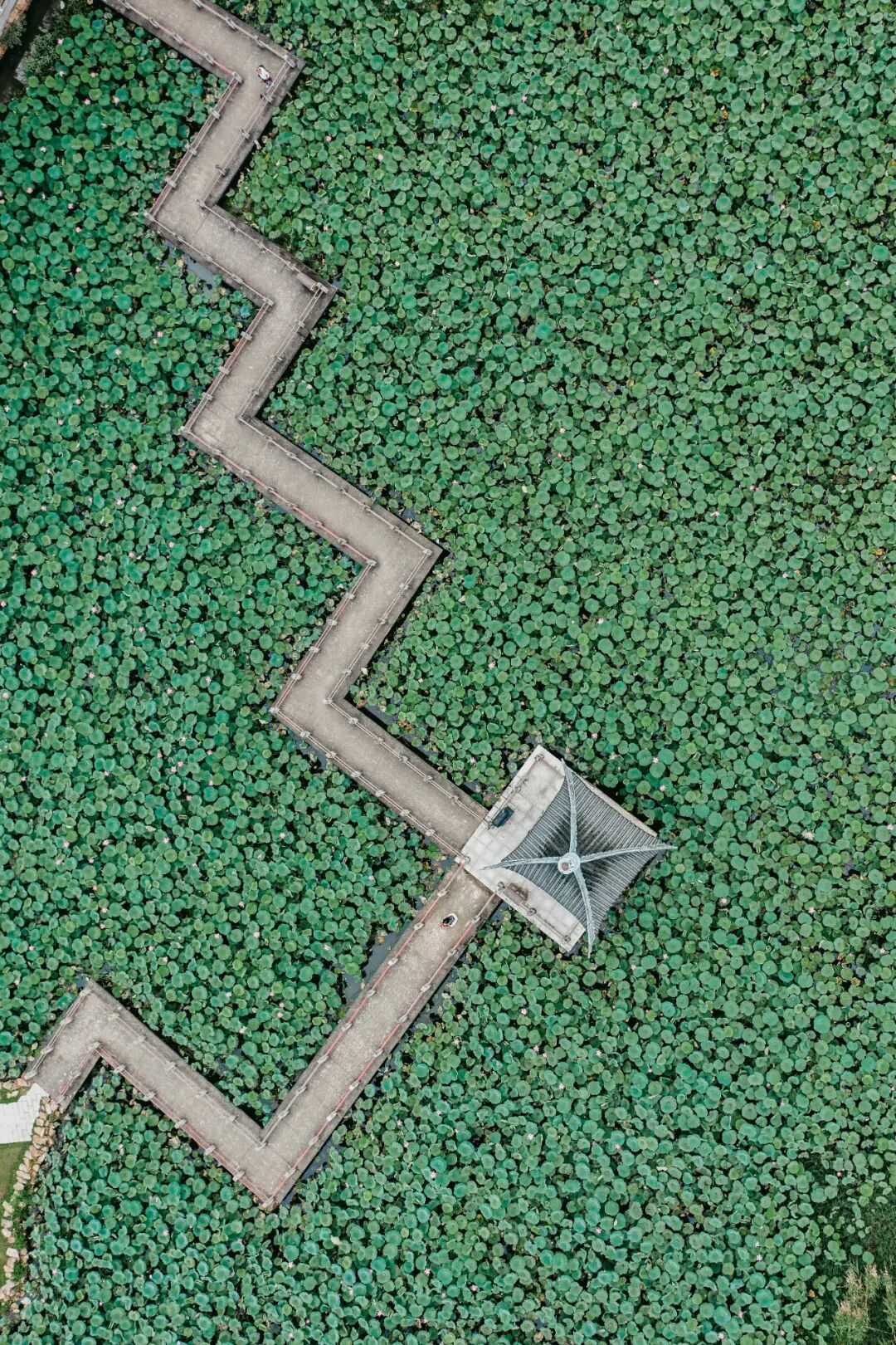 Image related to Hubei: China's Diamond Hub