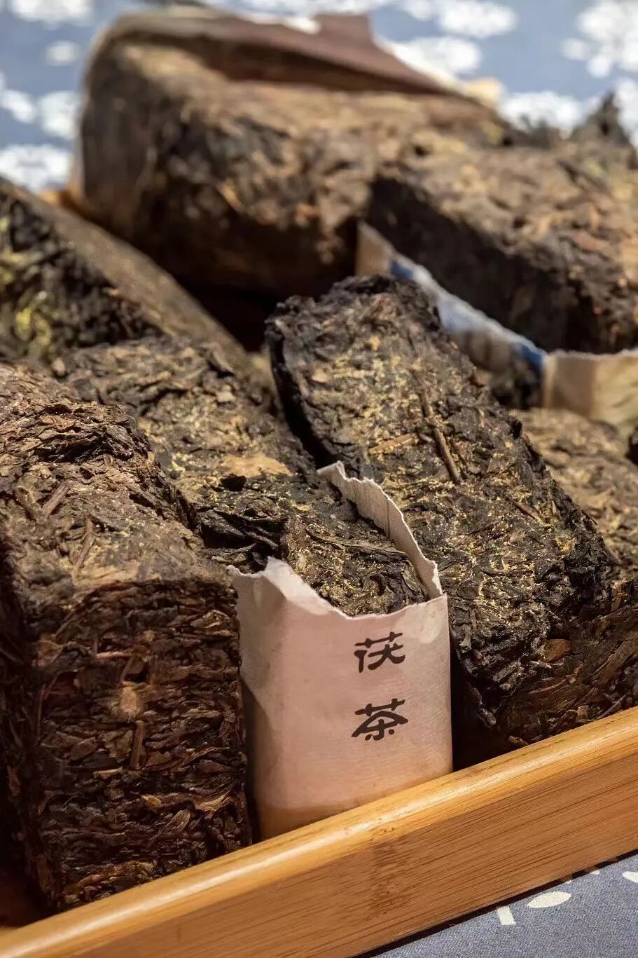 Image related to Xianyang: Definitely Not Just a District of Xi'an!