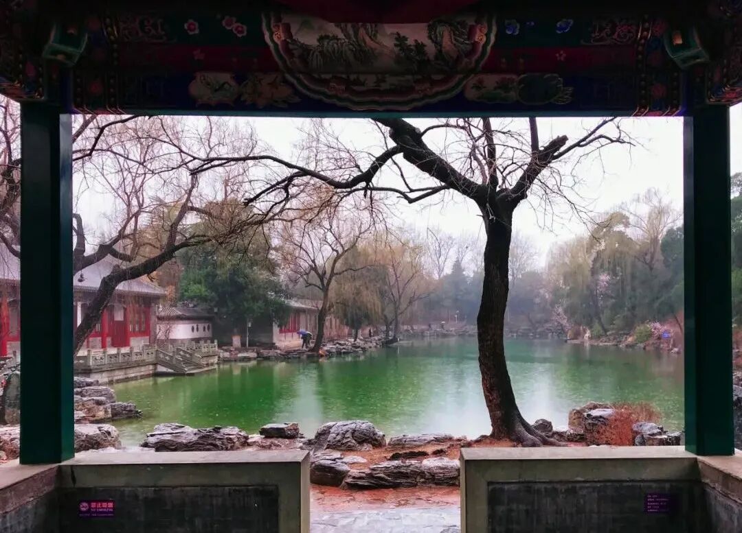 Image related to Tsinghua University: Where Campus Wonders Come Alive!