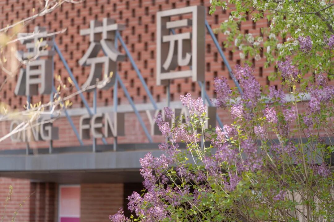 Image related to Tsinghua University: Where Campus Wonders Come Alive!