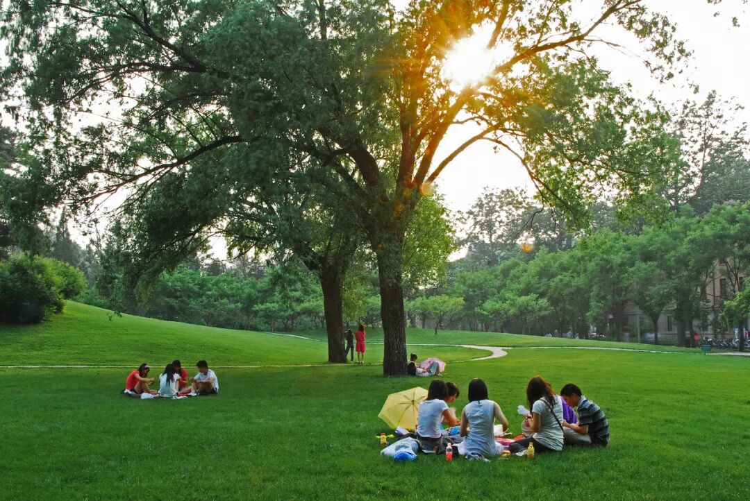 Image related to Tsinghua University: Where Campus Wonders Come Alive!