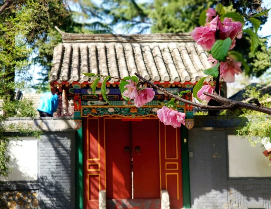 Image related to Tsinghua University: Where Campus Wonders Come Alive!