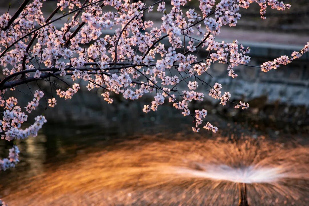 Image related to Tsinghua University: Where Campus Wonders Come Alive!