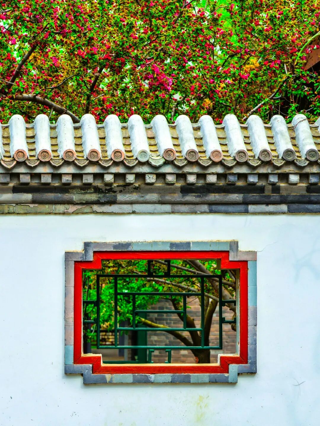 Image related to Tsinghua University: Where Campus Wonders Come Alive!