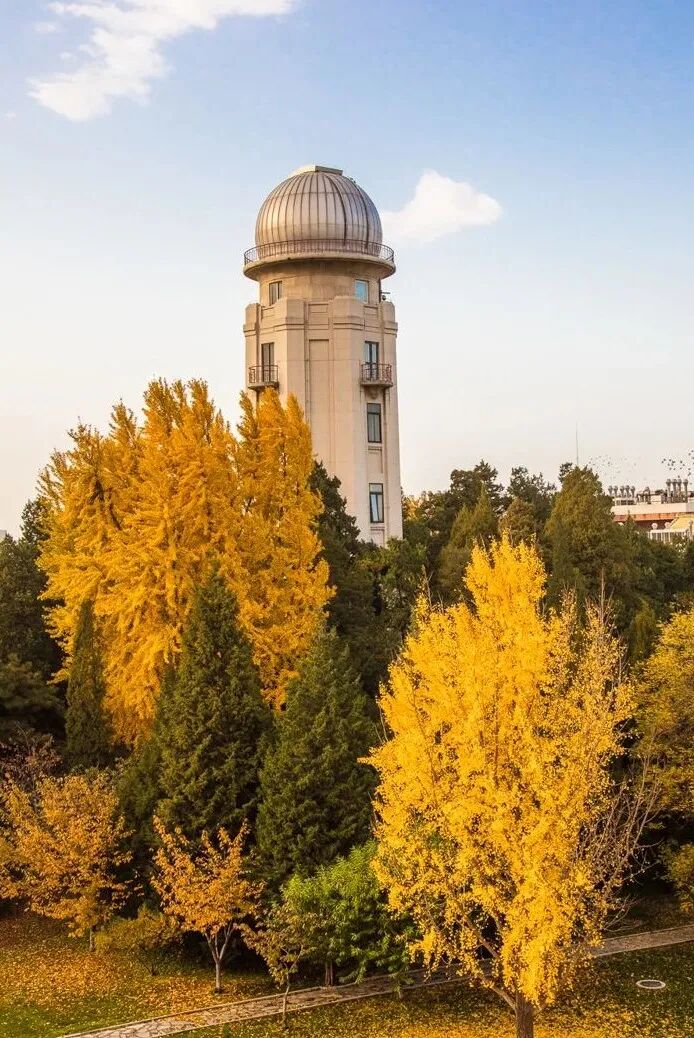 Image related to Tsinghua University: Where Campus Wonders Come Alive!
