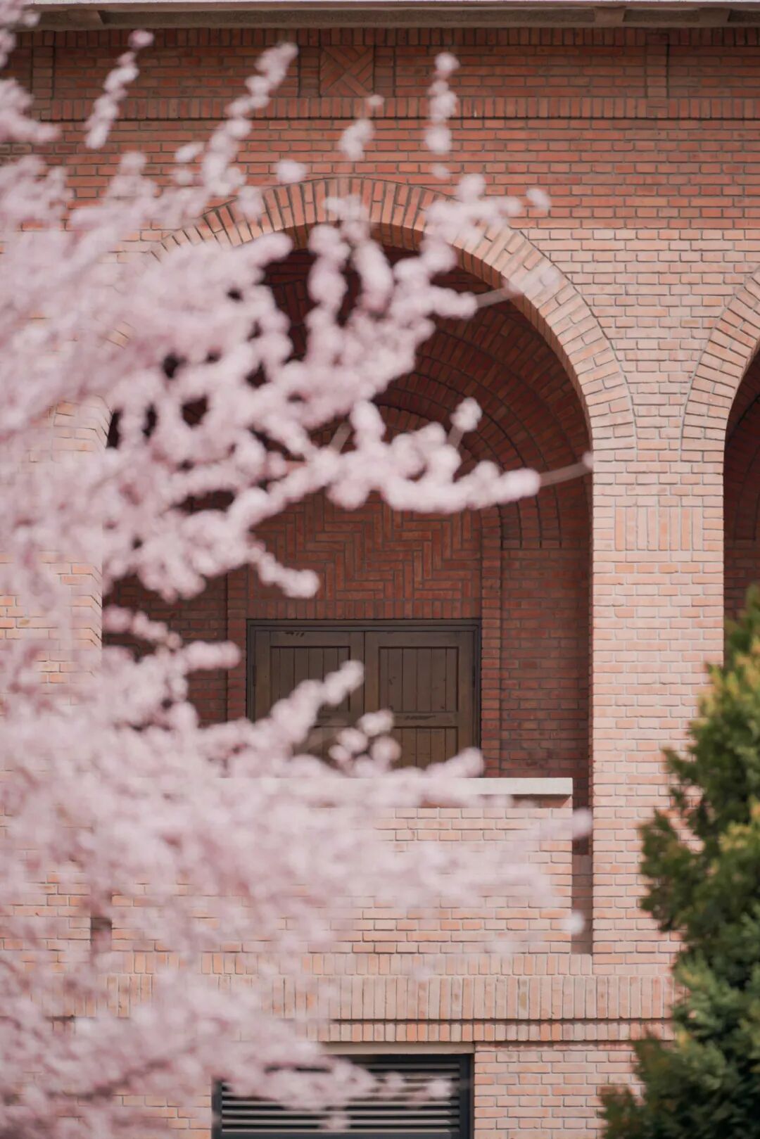 Image related to Tsinghua University: Where Campus Wonders Come Alive!