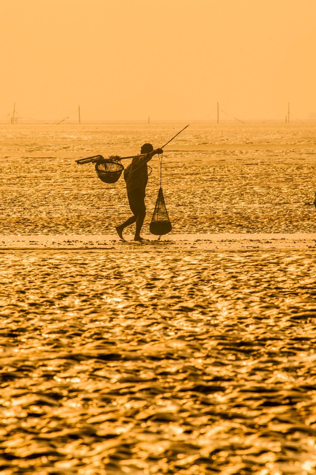 Image related to Discover Jiangsu's Hidden Seafood Paradise: All-You-Can-Eat Clams and Mud Snails from the Tidal Flats!