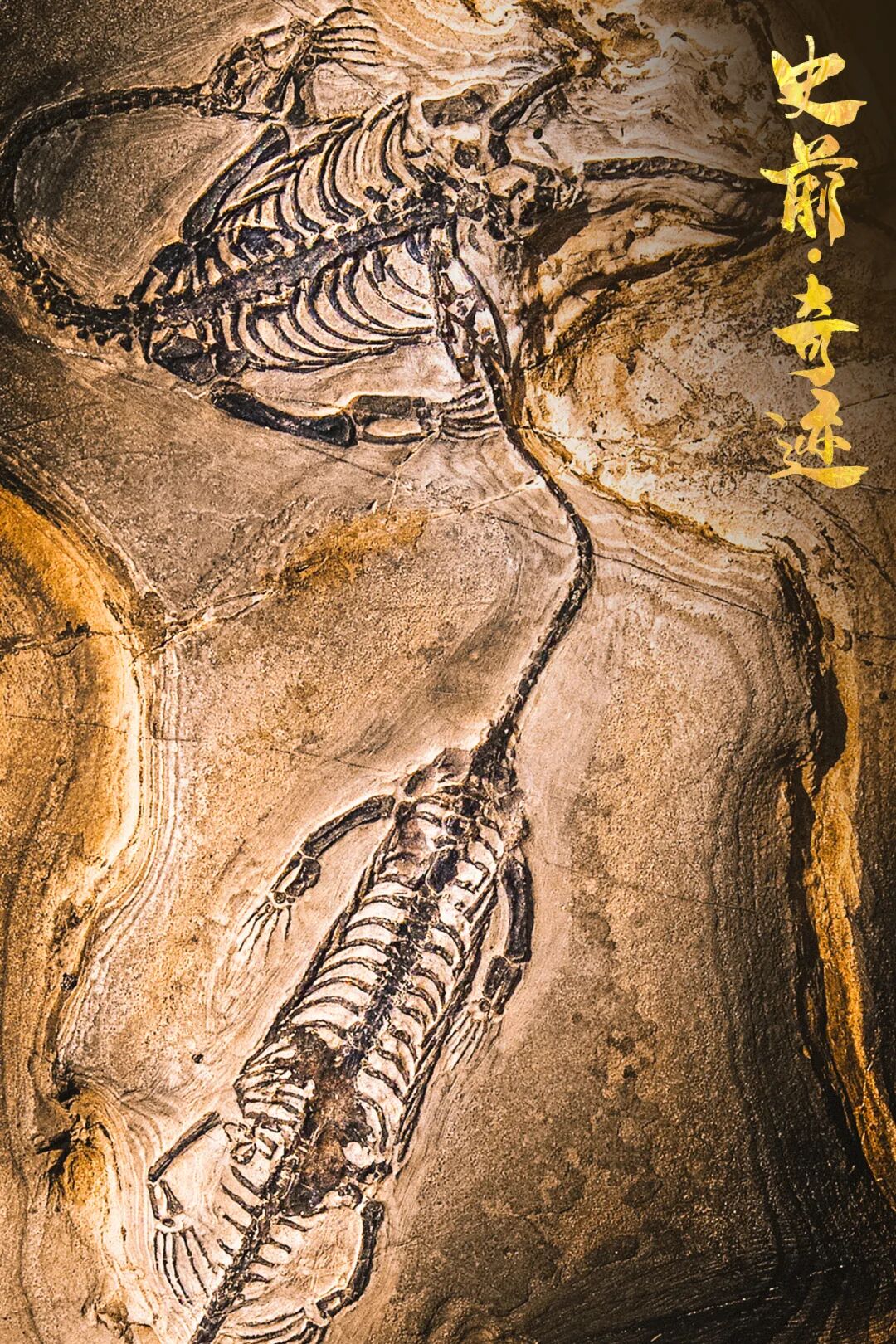 Image related to The Longest New Year, the Oldest Songs: What Wonders Await in a 6-Day, 5-Night Guizhou Adventure?