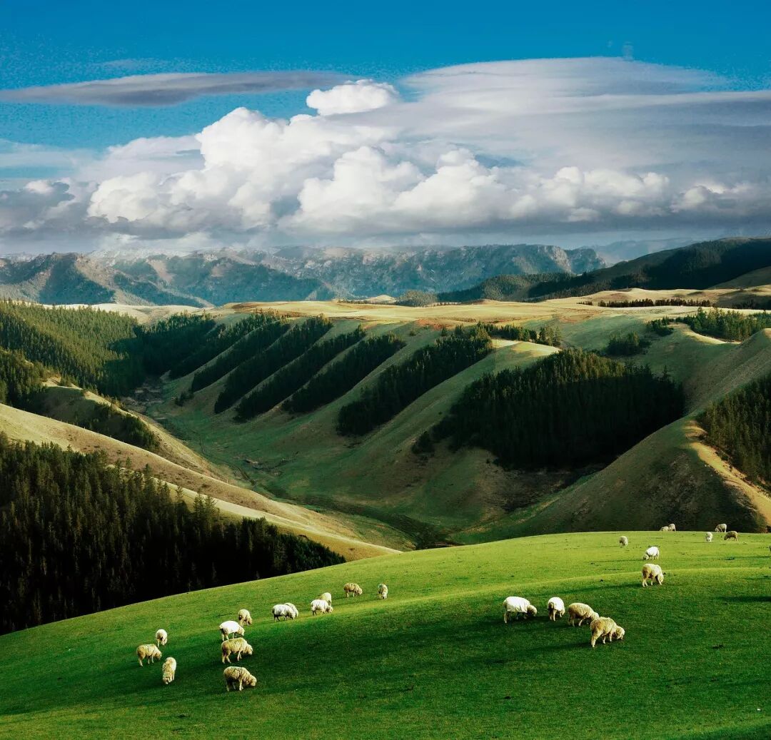 Image related to Return to the Dust Puts the Spotlight on This Northwestern Chinese City