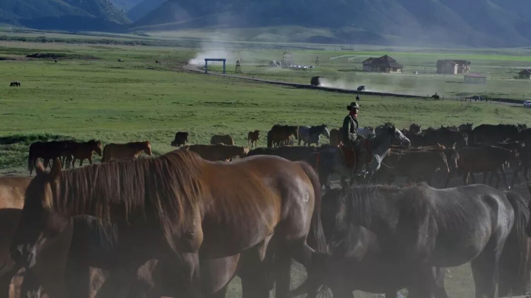 Image related to Return to the Dust Puts the Spotlight on This Northwestern Chinese City