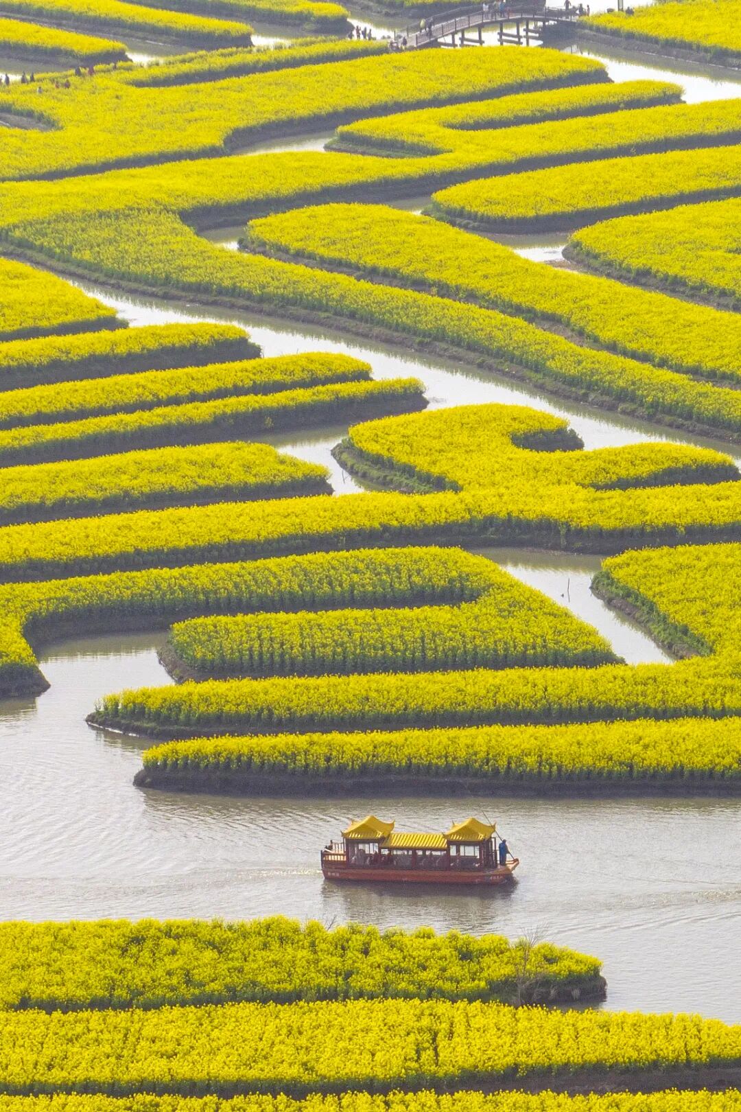 Image related to The Most Overlooked City in Jiangsu: How Does Its Spring Delicacies Outshine Yangzhou and Suzhou?